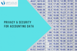 Security and Privacy for Accounting Data